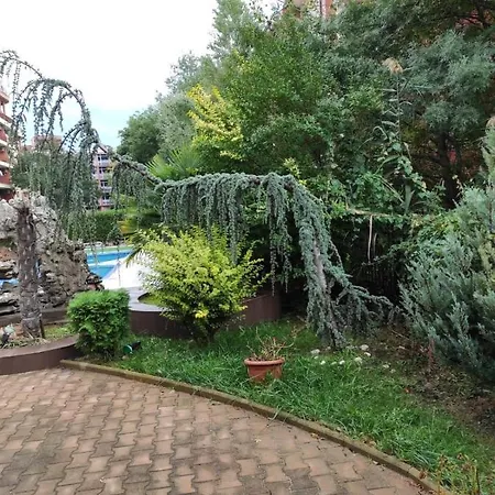 солнечная студия на солнечном берегу Sunny Studio On Sunny